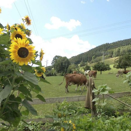 Appartamento Urlaub Auf Dem Haenslehof Elzach Esterno foto