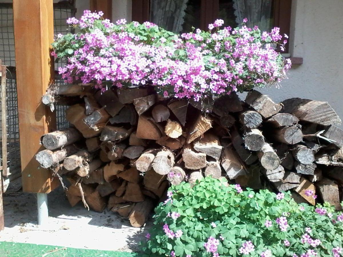Appartamento Urlaub Auf Dem Haenslehof Elzach Esterno foto