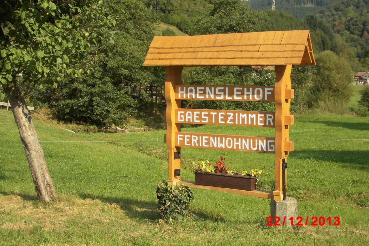 Appartamento Urlaub Auf Dem Haenslehof Elzach Esterno foto