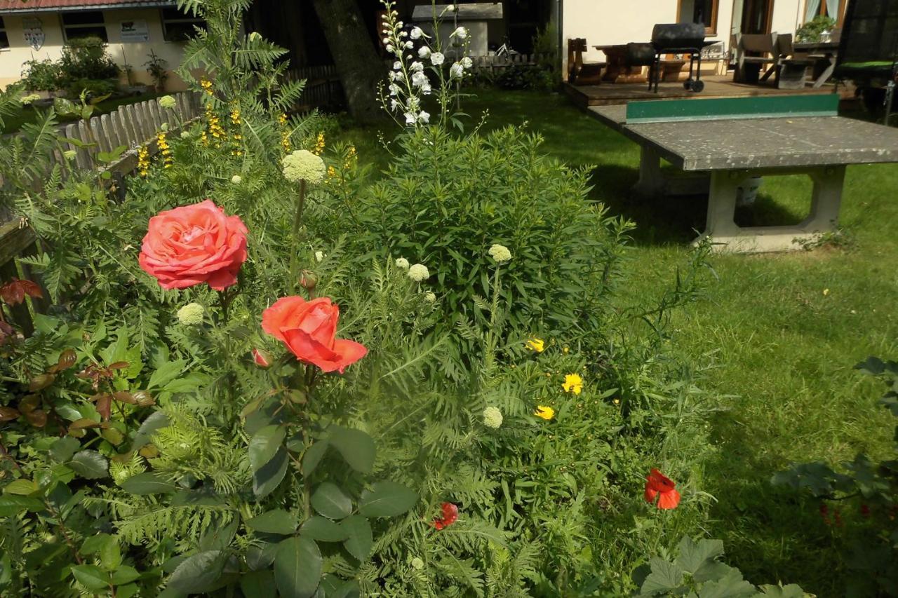Appartamento Urlaub Auf Dem Haenslehof Elzach Esterno foto