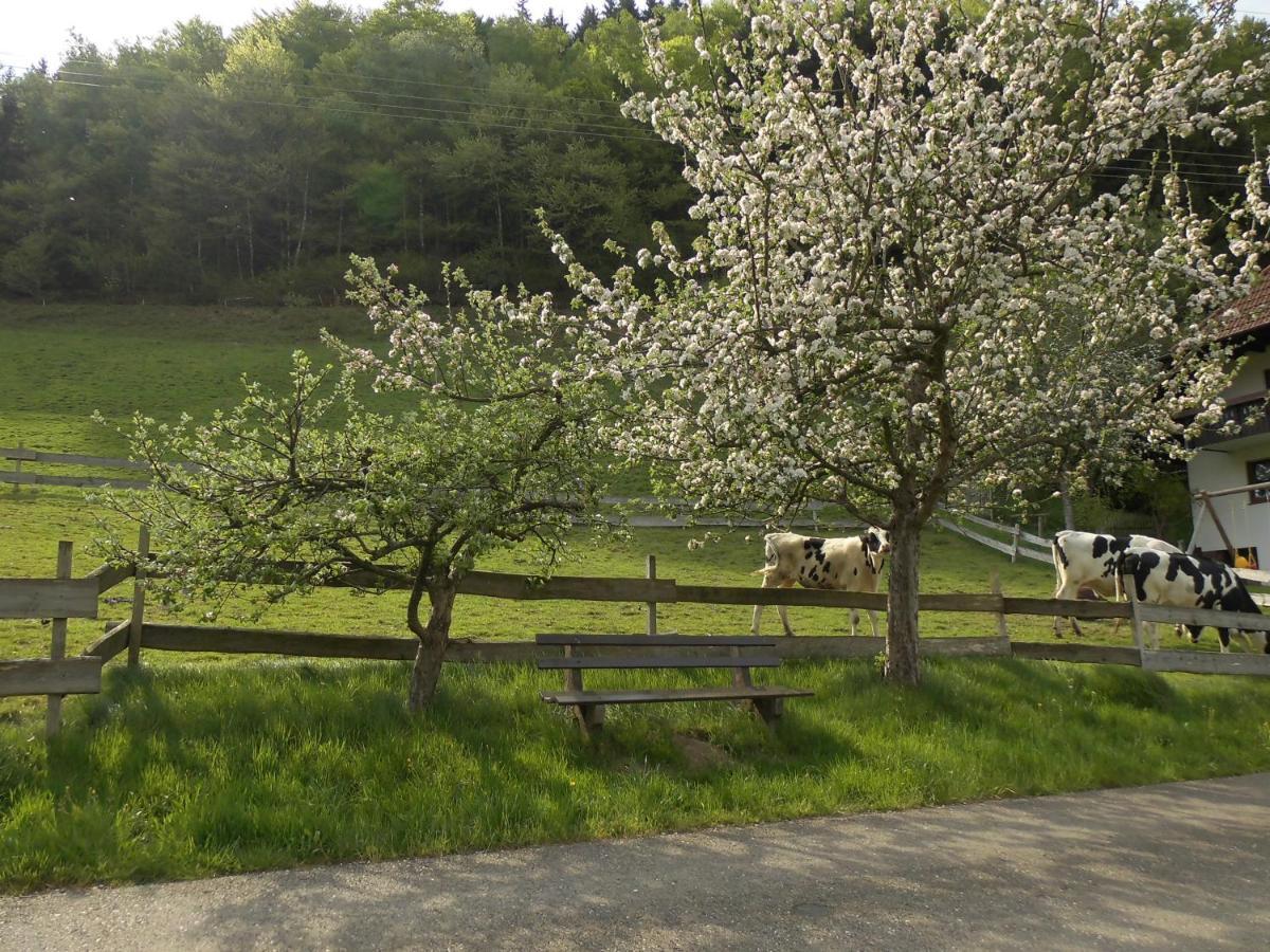 Appartamento Urlaub Auf Dem Haenslehof Elzach Esterno foto