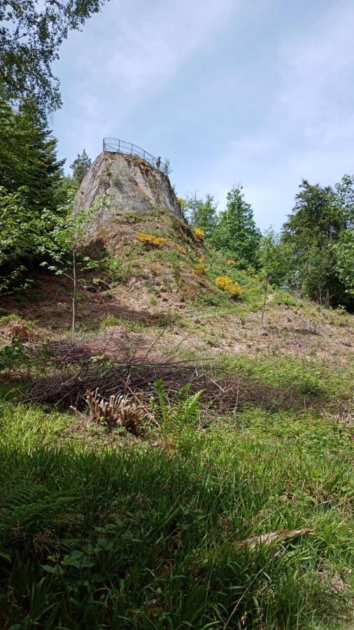 Appartamento Urlaub Auf Dem Haenslehof Elzach Esterno foto
