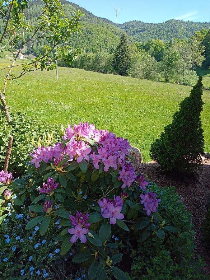 Appartamento Urlaub Auf Dem Haenslehof Elzach Esterno foto