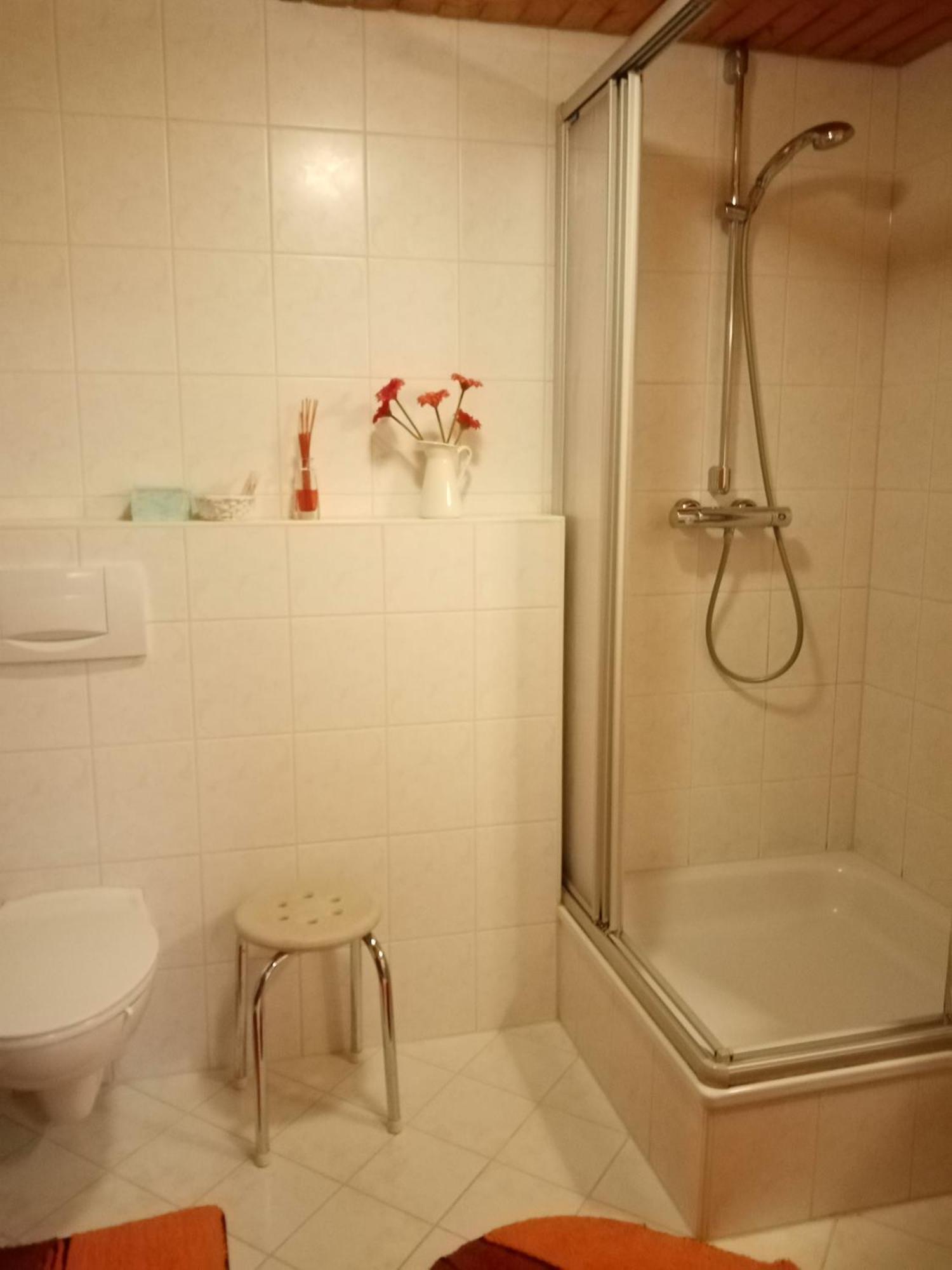 Appartamento Urlaub Auf Dem Haenslehof Elzach Esterno foto