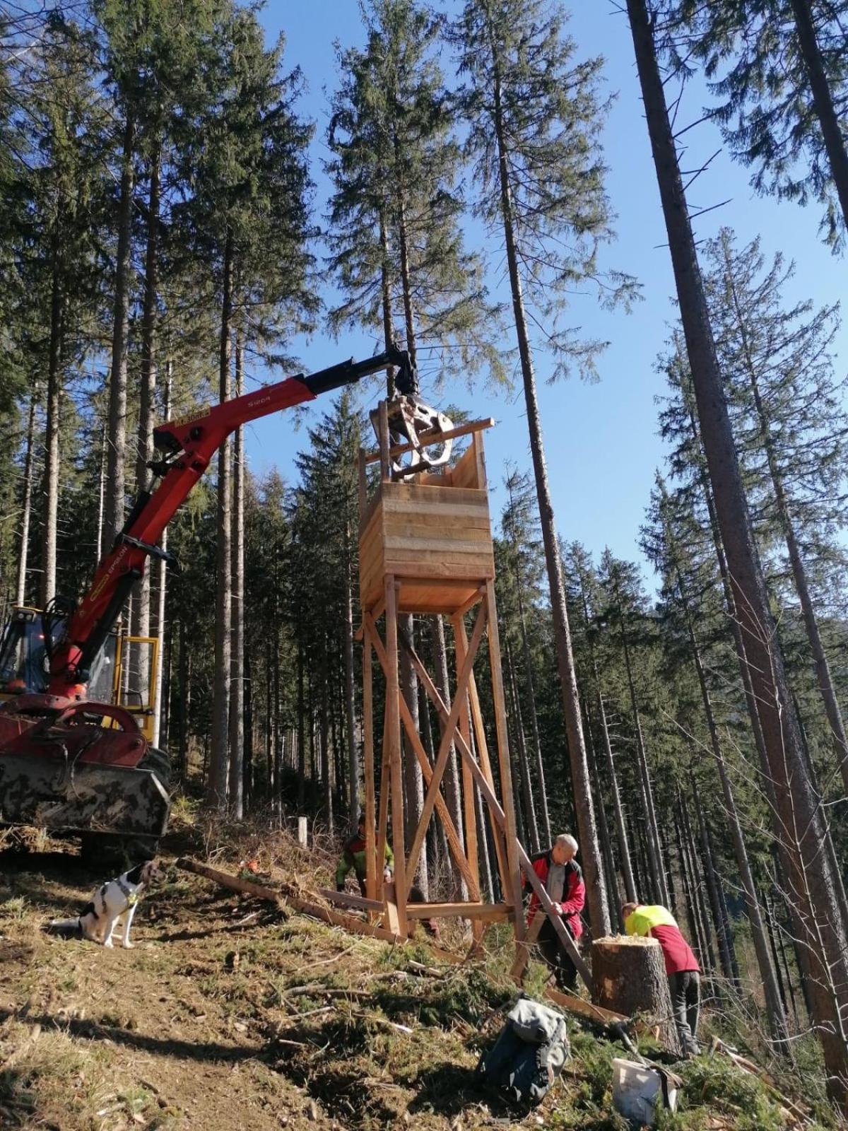 Appartamento Urlaub Auf Dem Haenslehof Elzach Esterno foto
