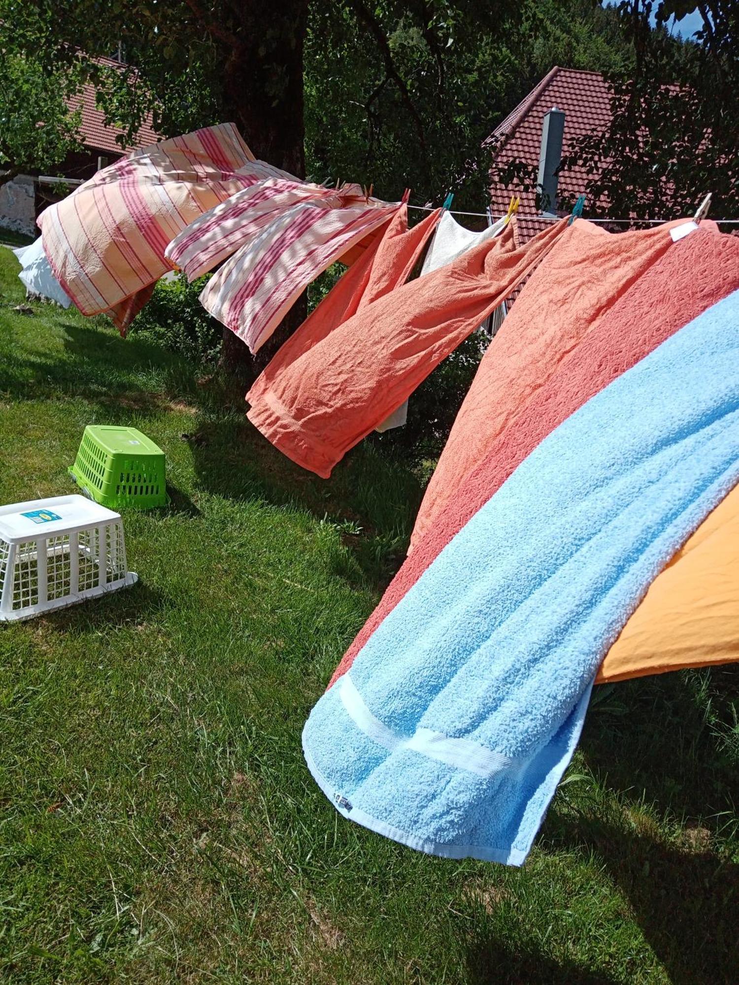 Appartamento Urlaub Auf Dem Haenslehof Elzach Esterno foto