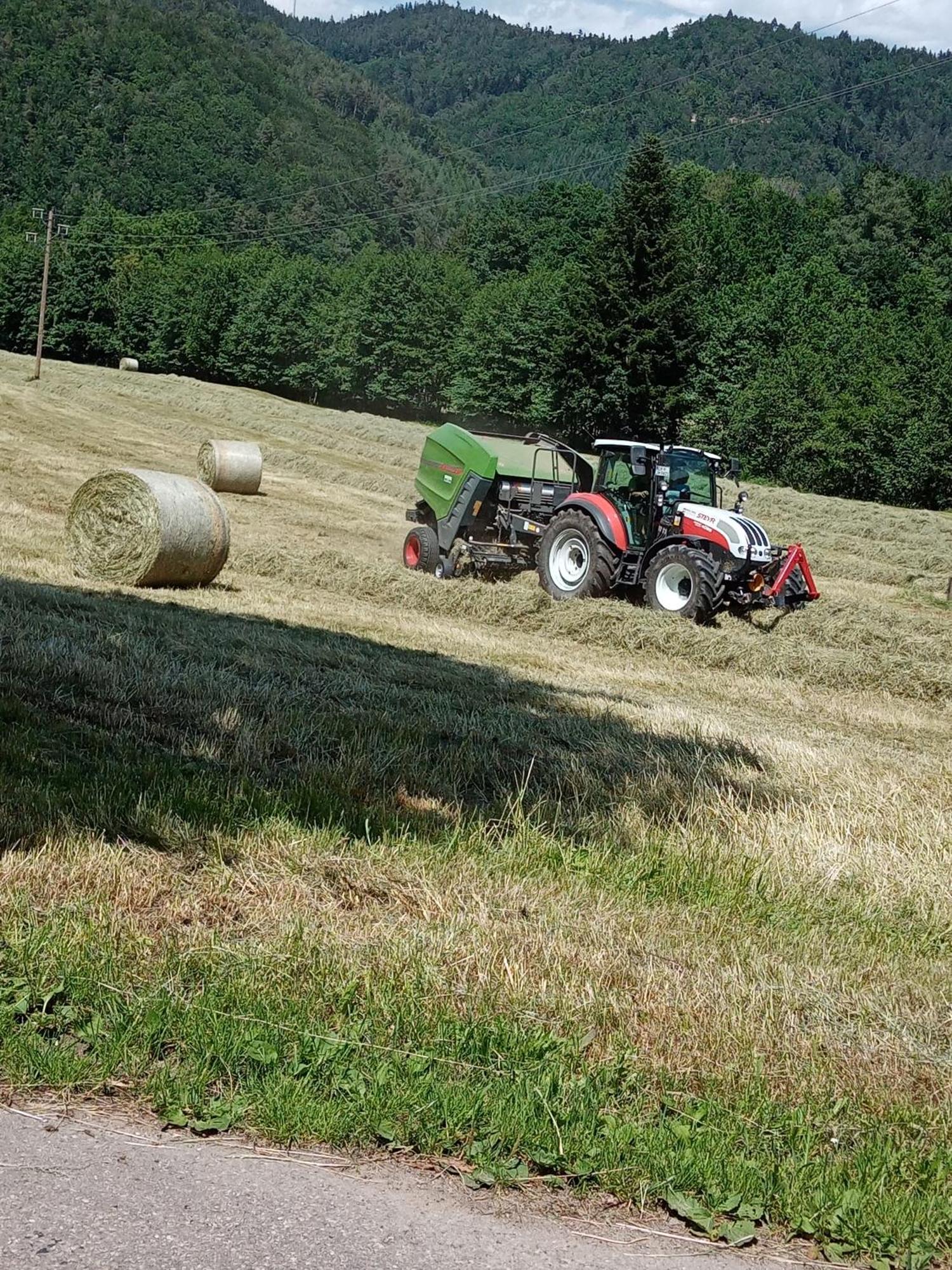 Appartamento Urlaub Auf Dem Haenslehof Elzach Esterno foto