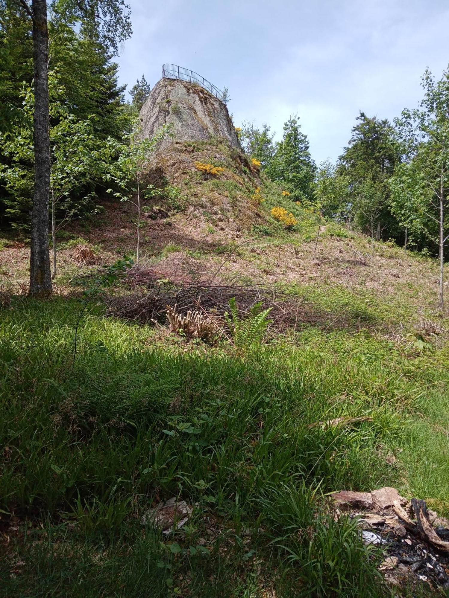 Appartamento Urlaub Auf Dem Haenslehof Elzach Esterno foto