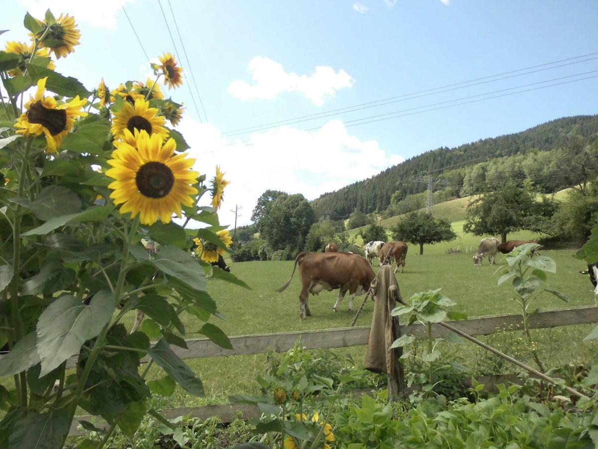 Appartamento Urlaub Auf Dem Haenslehof Elzach Esterno foto