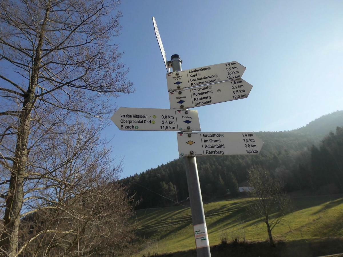Appartamento Urlaub Auf Dem Haenslehof Elzach Esterno foto